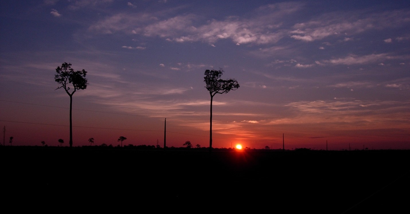 Death in the Amazon | Global Americans